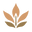 Manual de Evolución logo