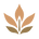 Manual de Evolucion – Inicio